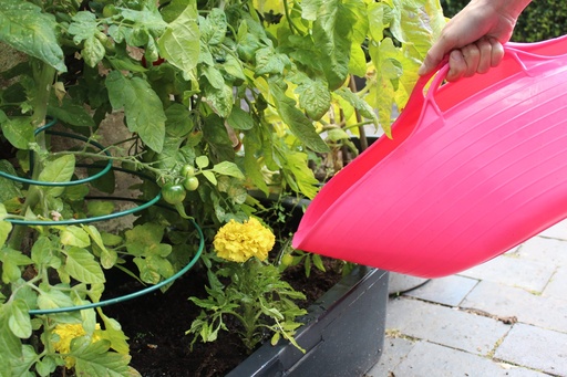 Red  Gorilla -  Tubs & Recycled Black Tubs - Small Shallow 15L Pink