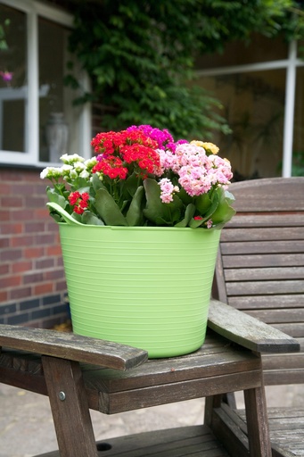 Red  Gorilla - Gorilla Tubs & Recycled Black Tubs - 14L -Pistachio