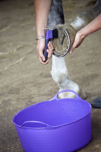 Red  Gorilla - Gorilla Tubs & Recycled Black Tubs - Small Shallow 15L- Purple