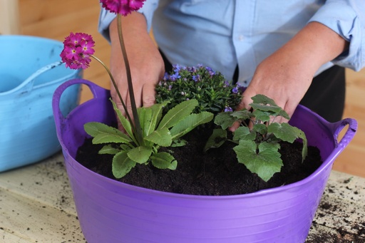 Red  Gorilla - Gorilla Tubs & Recycled Black Tubs - Small Shallow 15L- Purple