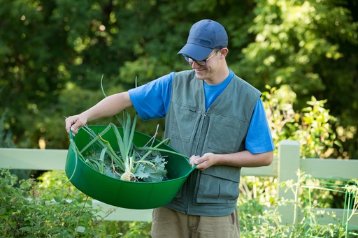 Red  Gorilla - Gorilla Tubs & Recycled Black Tubs - Large Shallow 35L- Green