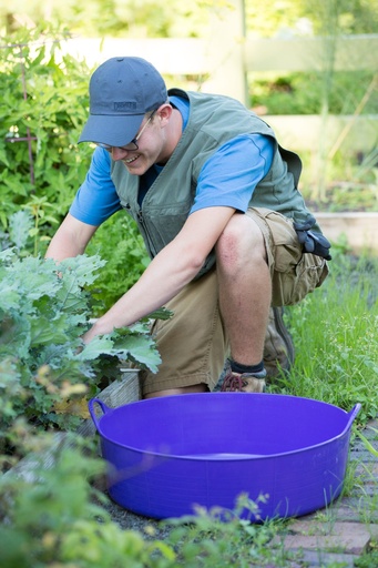 Red  Gorilla - Gorilla Tubs & Recycled Black Tubs - Large Shallow 35L- Purple