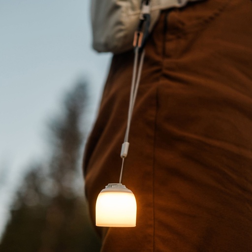 Multi-Color Mini Light