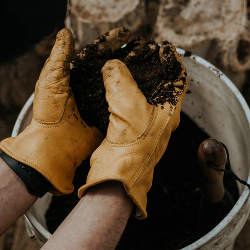Classic Work Glove Olive