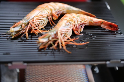 OutdoorChef - BLAZING GLASS L
