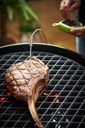 [18.212.67] OutdoorChef - CAST IRON GRATE DIAMOND 420 Image 