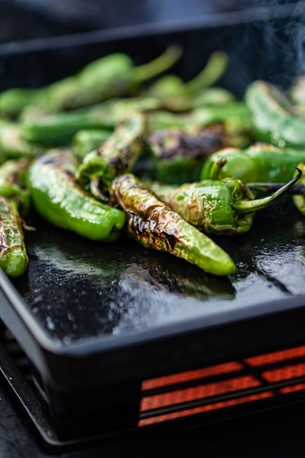 OutdoorChef - PLANCHA L