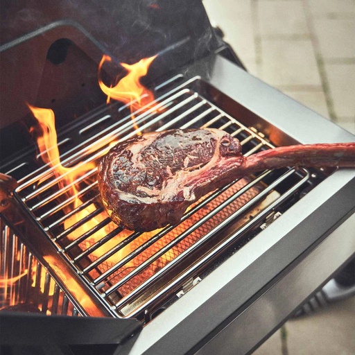 Burnhard Big EARL - 4-Burner Premium Gas Grill 2025 Stainless Steel with Stainless Steel Grill Grate
