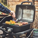 [945961] Burnhard WAYNE Jr. 1-Burner Image 