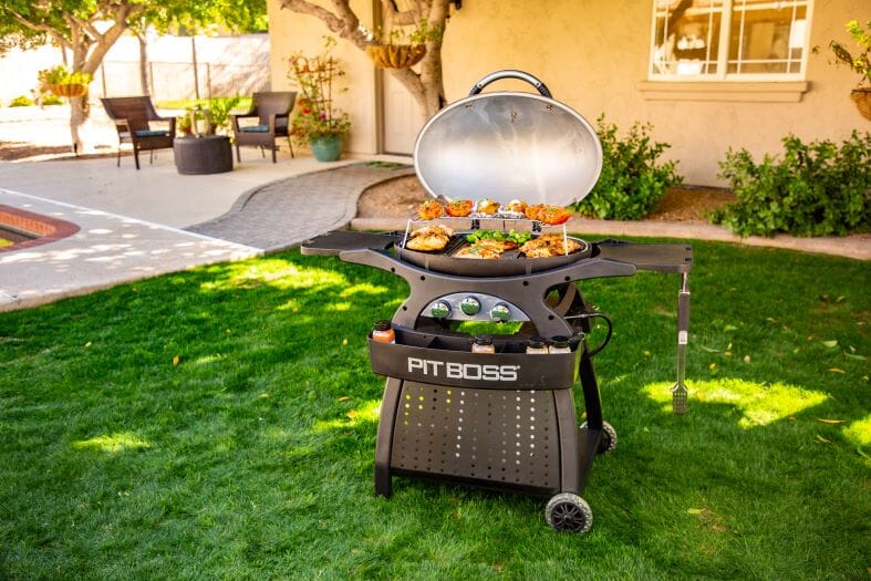 [10755] Pitboss - Sportsman 3 Grey   Image 