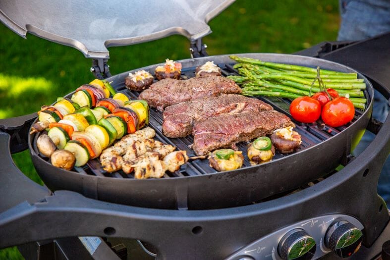 [10755] Pitboss - Sportsman 3 Grey   Image 