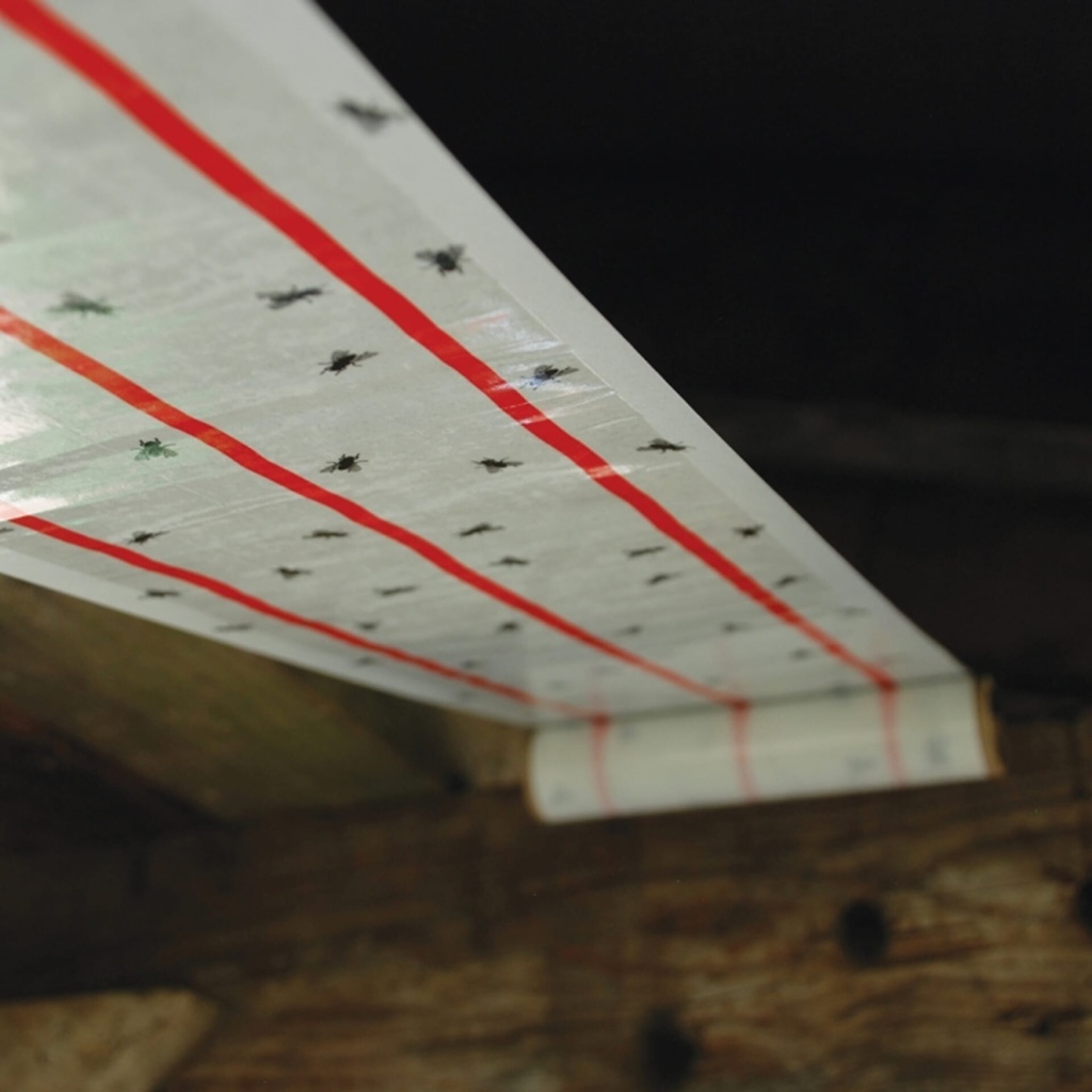 [ZER506]  ZER506  Ultra Power 5 Metre Sticky Fly Roll - Eol Image 