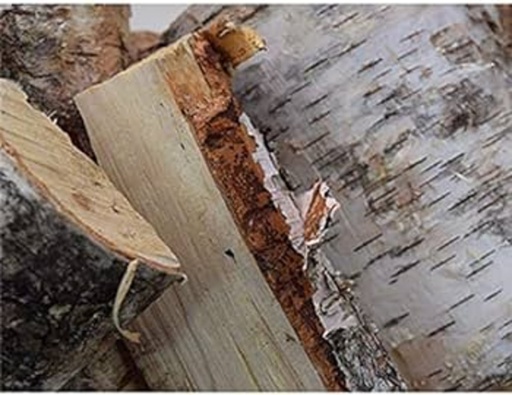 Bad Axe Birch Firewood 21L