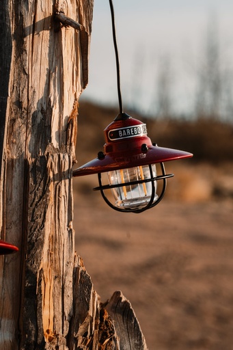 BareBones - Edison String Lights (Red)