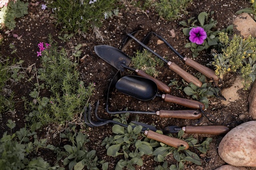 BareBones - Japanese Weeding Hoe  - Walnut/Black