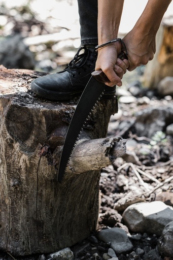 BareBones - Timber Saw