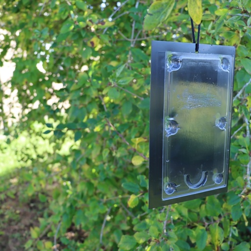 STV Tomato Leaf Miner Trap Refill - Twinpack