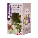 [STV066] STV Vintage Glass Plant Mist Sprayer - 225ml - Assorted Colours Image 