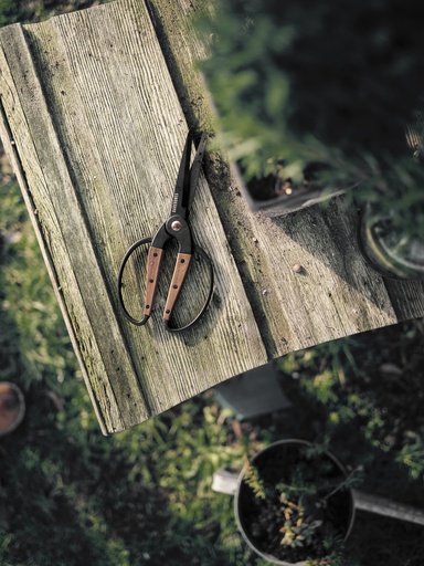 Barebones-  Garden Scissors