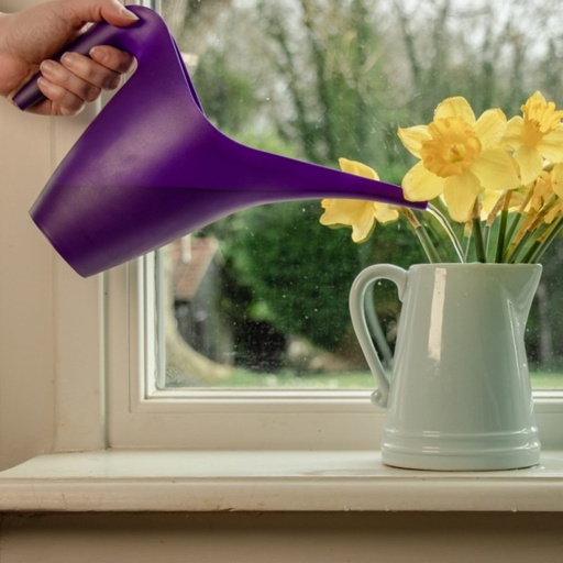 STV No-Spill Spouted Watering Jug - 1L - Assorted Colours