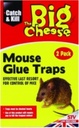 STV - Mouse Glue Traps - 2 Pack
