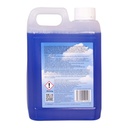 STV - Concentrated Path & Patio Cleaner - 2L