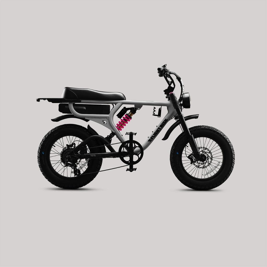 Flight Risk - FR555 The Trailblazer - Silver