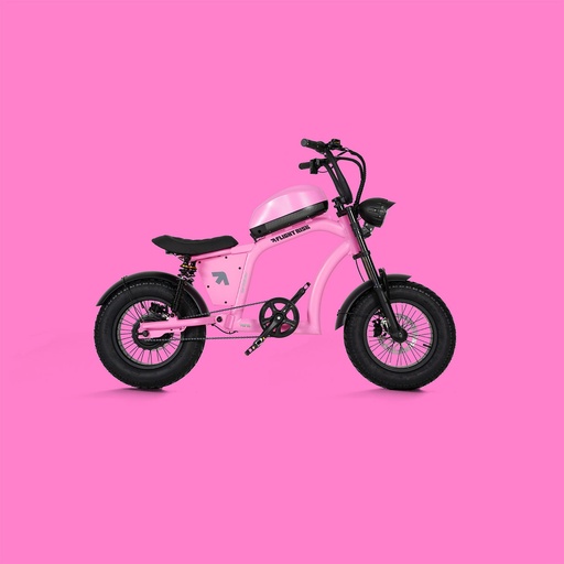 FR606 – The Rulebreaker - Pink