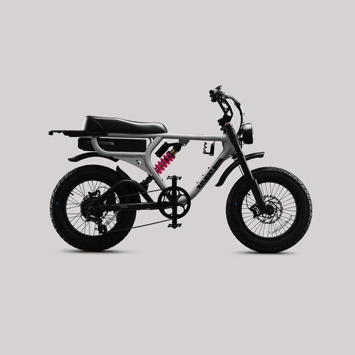 FR555 – The Trailblazer - Silver